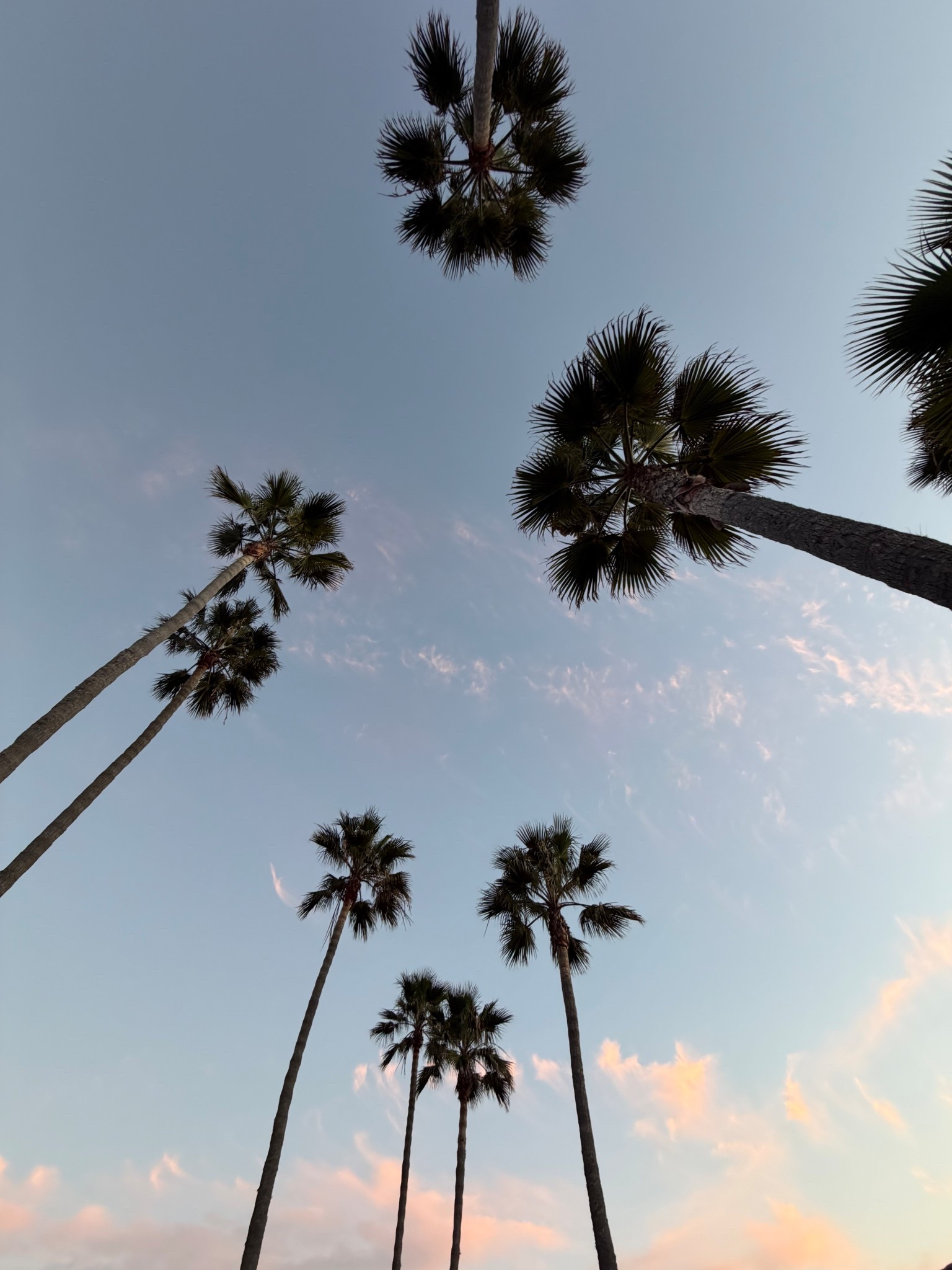 Beach day essentials

Beach must haves

#LTKTravel #LTKmomlife #LTKdayinmylife