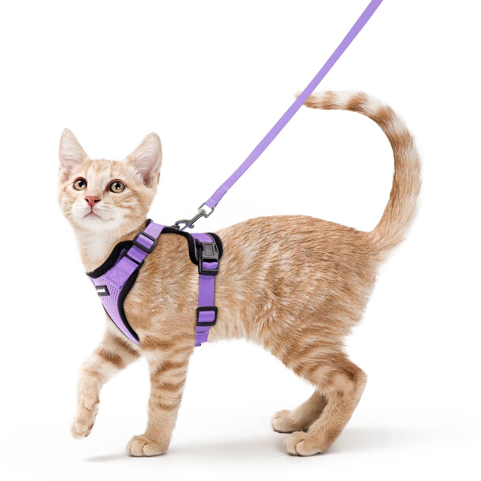 rabbitgoo Cat Harness and Leash for Walking, Escape Proof Soft Adjustable Vest Harnesses for Cats... | Amazon (US)