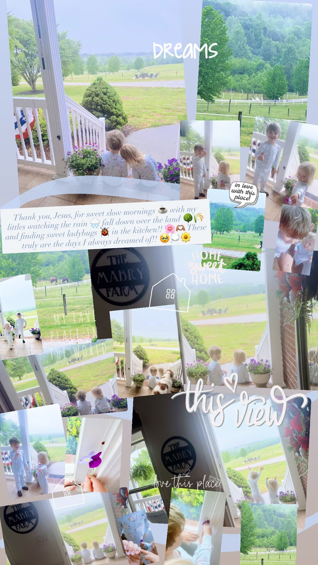 Thank you, Jesus, for sweet slow mornings ☕️ with my littles watching the rain 🌧️ fall down over the land 🌳🌾 and finding sweet ladybugs 🐞 in the kitchen!! 🌸🫶🏽 These truly are the days I always dreamed of!! 🥹💭🌼 