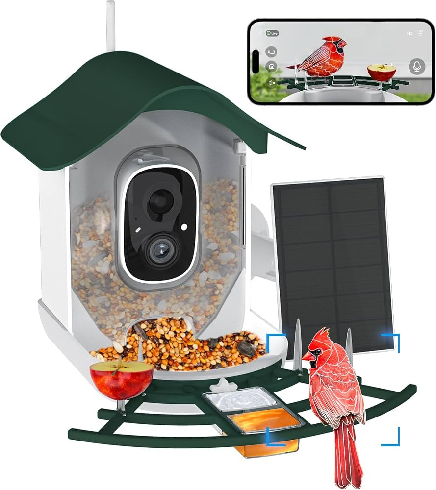 Bird Feeder with Camera, 2K HD Bird Feeder with Camera Solar Powered, Auto Capture Videos & Motio... | Amazon (US)