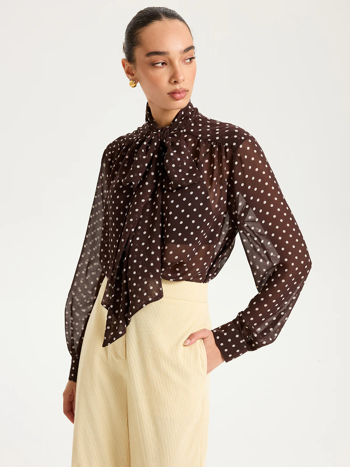 Semi-Sheer Polka Dot Chiffon Bow Blouse | Commense