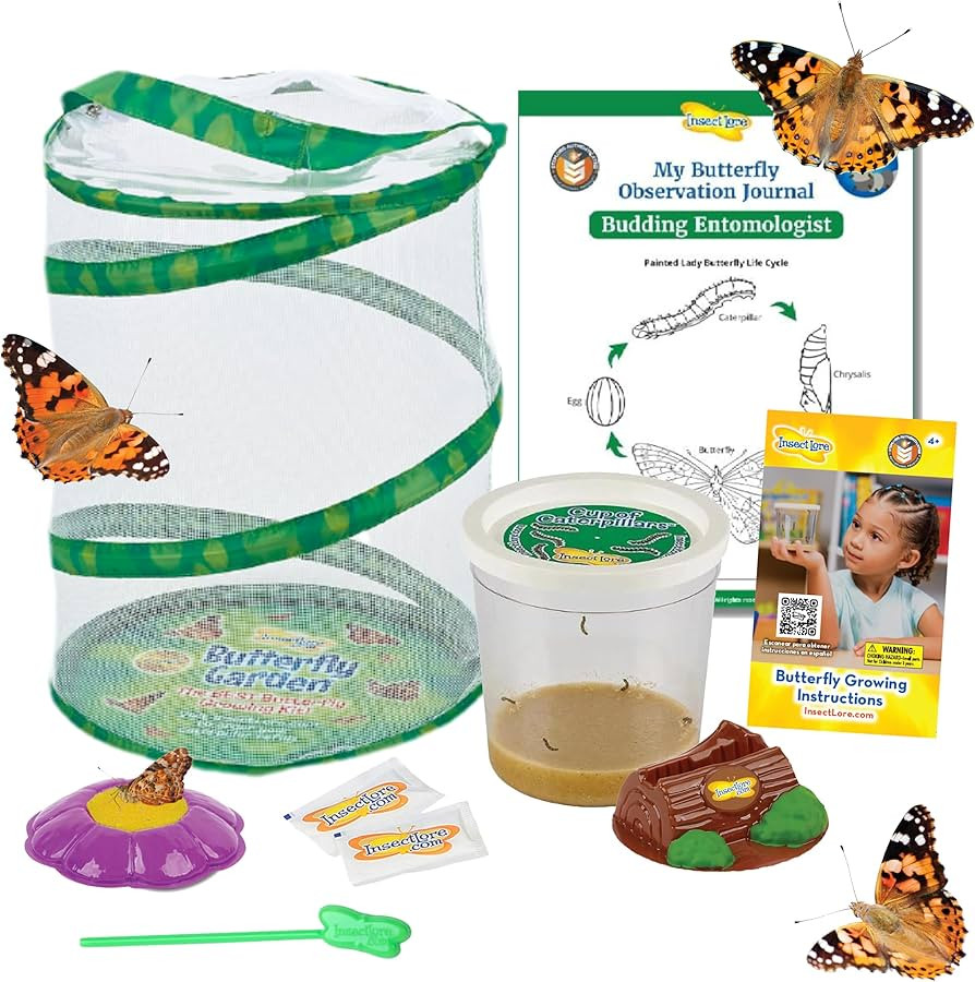 Insect Lore Butterfly Garden | 5 Live Baby Caterpillars | Habitat, Feeder, Chrys-A-Lid Log, STEM ... | Amazon (US)