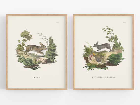 Set of Two Bunny Art Prints Set 1 / Bunny Art / | Etsy | Etsy (US)