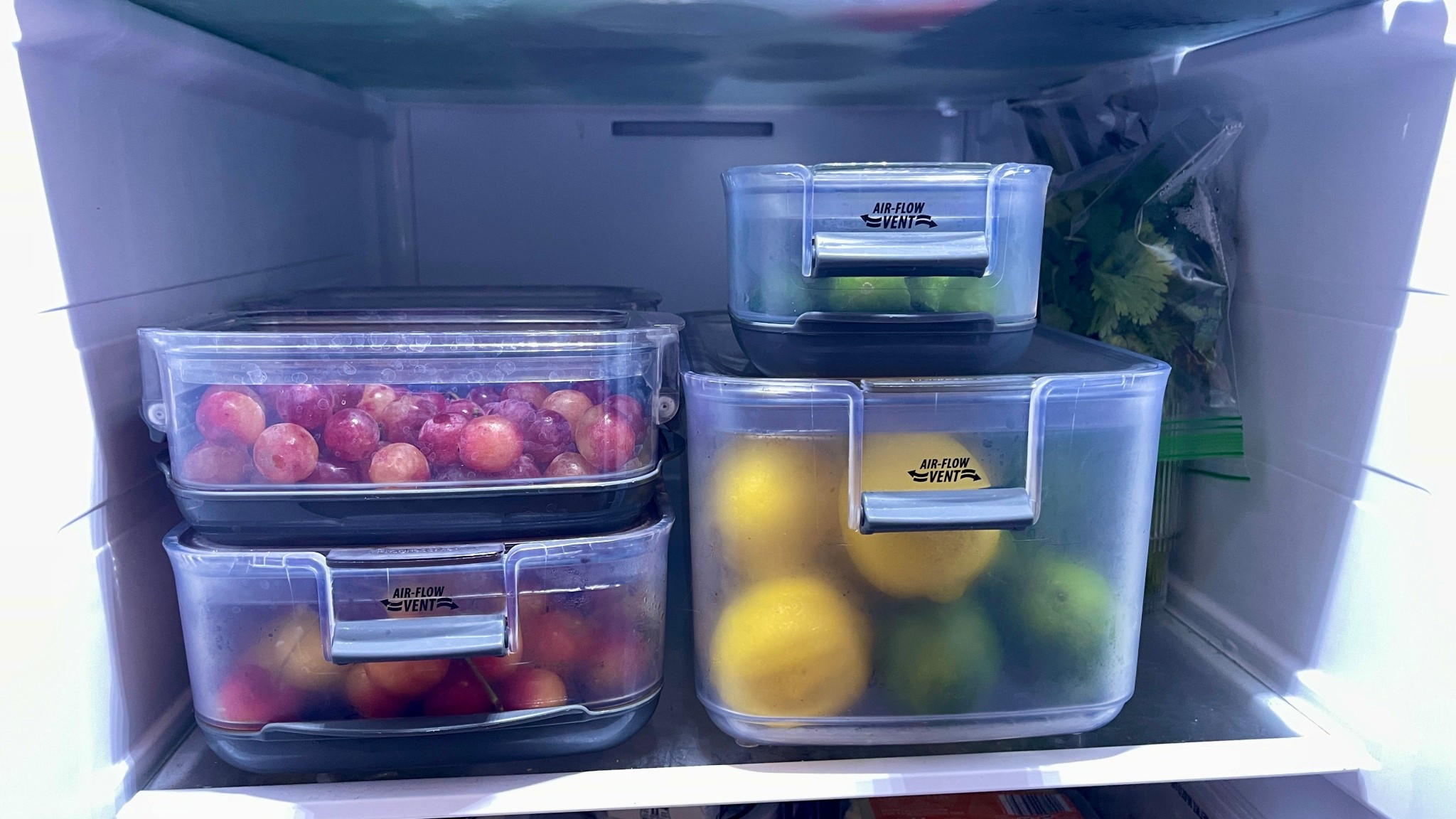 It’s been a while since I gave our produce keepers a shout out! There’s produce storage containers and there’s these. They help keep lettuce crisper longer, grapes last for weeks, and we NEVER throw away moldy berries anymore! 

Related: refrigerator organizer, kitchen organization, food storage, produce, fruits and veggies, kitchen and pantry must haves 

#LTKHome #LTKFindsUnder100