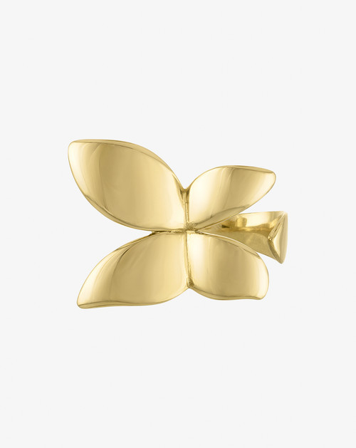 BEN ONI Bold Butterfly Open Ring in Gold at Nordstrom | Nordstrom