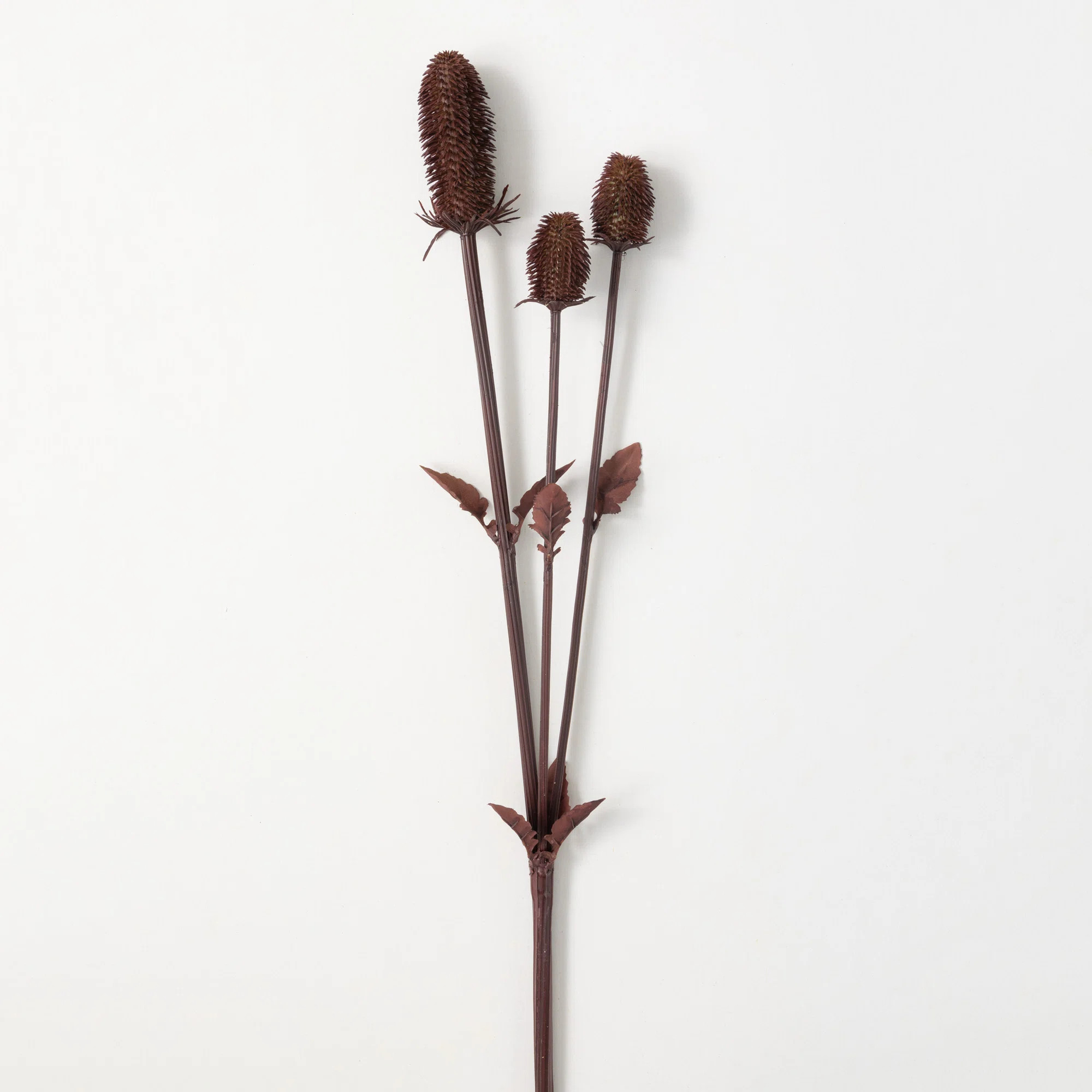 Birch Lane™ 39" Natural Burgundy Thistle Spray | Wayfair | Wayfair North America