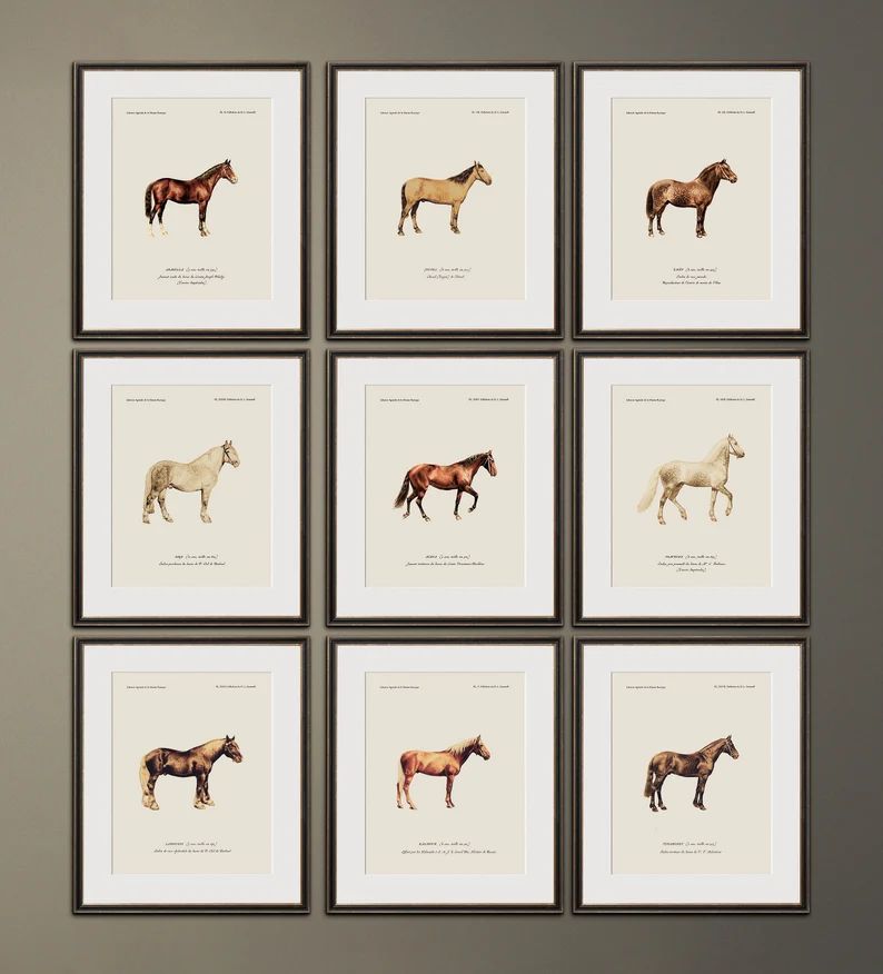 Equestrian Wall Art Prints for Rustic Decor Vintage Horse Art - Etsy | Etsy (US)