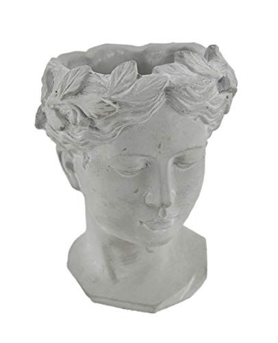 Zeckos Classic Greek Grey Lady Indoor Outdoor Cement Head Planter | Amazon (US)
