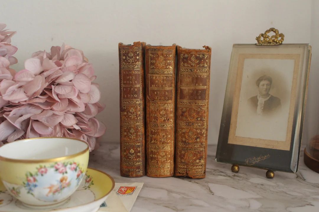 Set of 3 Antique French Leather Bound Books 18th Century Bookshelf Decor - Etsy | Etsy (US)