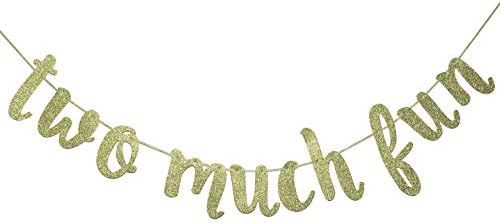 Two Much Fun Banner, 2nd Birthday Garland Sign Party Decorations Anniversary Decor Photo Booth Pr... | Amazon (CA)
