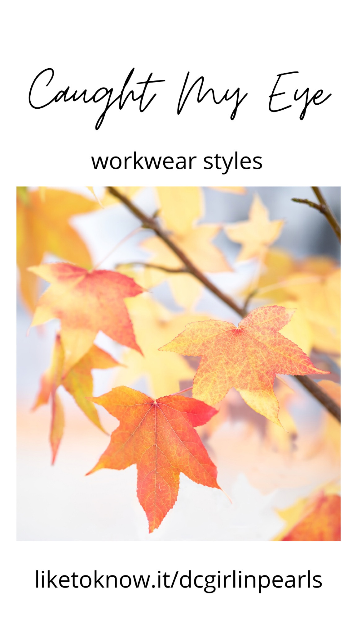 9.11.22 Caught My Eye Roundup featuring fall looks for the office #size8 #size8style #classicstyle #preppystyle #anntaylor #talbots #jcrew 

#LTKunder100 #LTKworkwear #LTKunder50