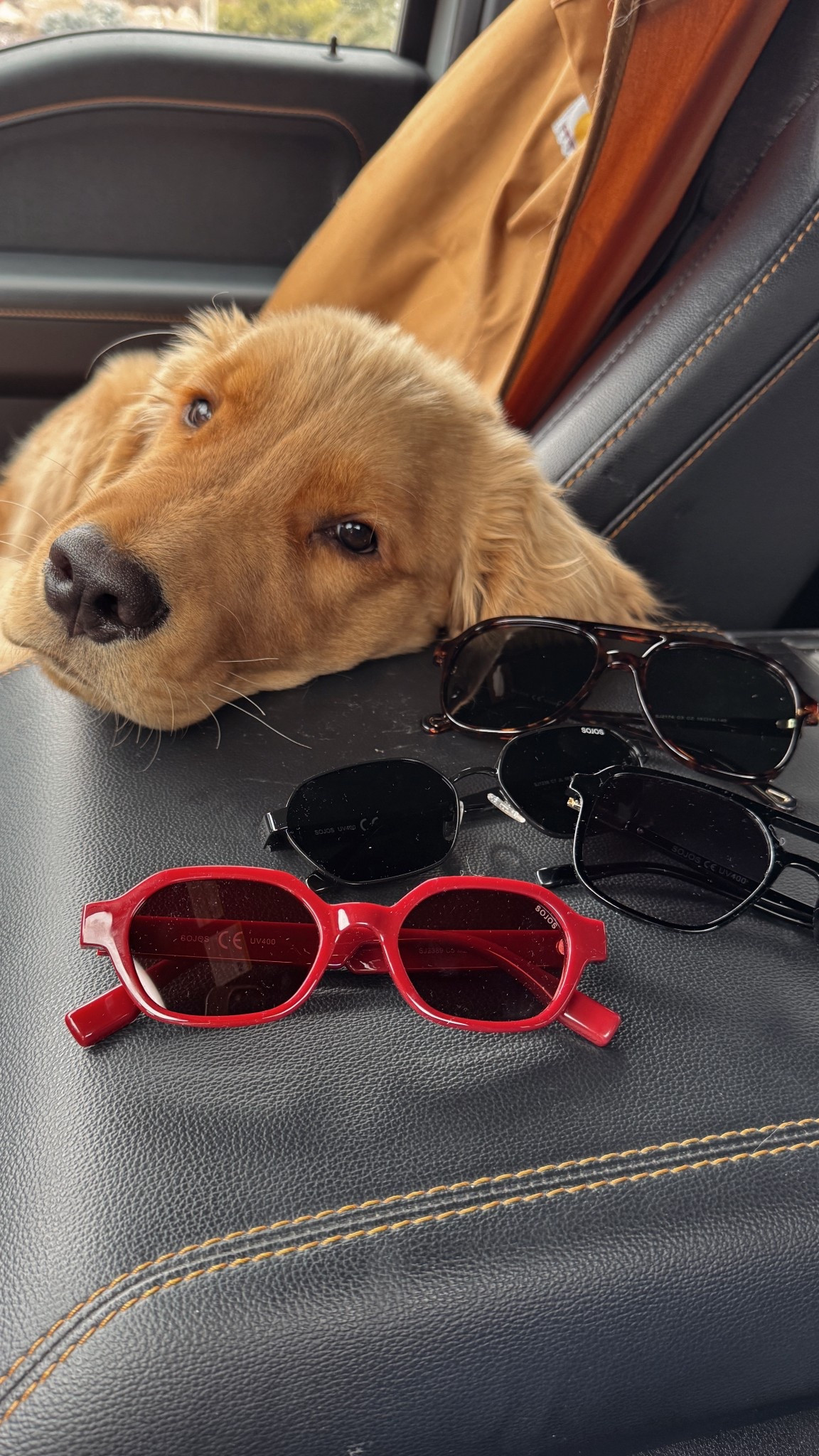 @SOJOS VISION has so many options. Affordable so you can get multiple for different looks. 🕶️ 

#LTKTravel