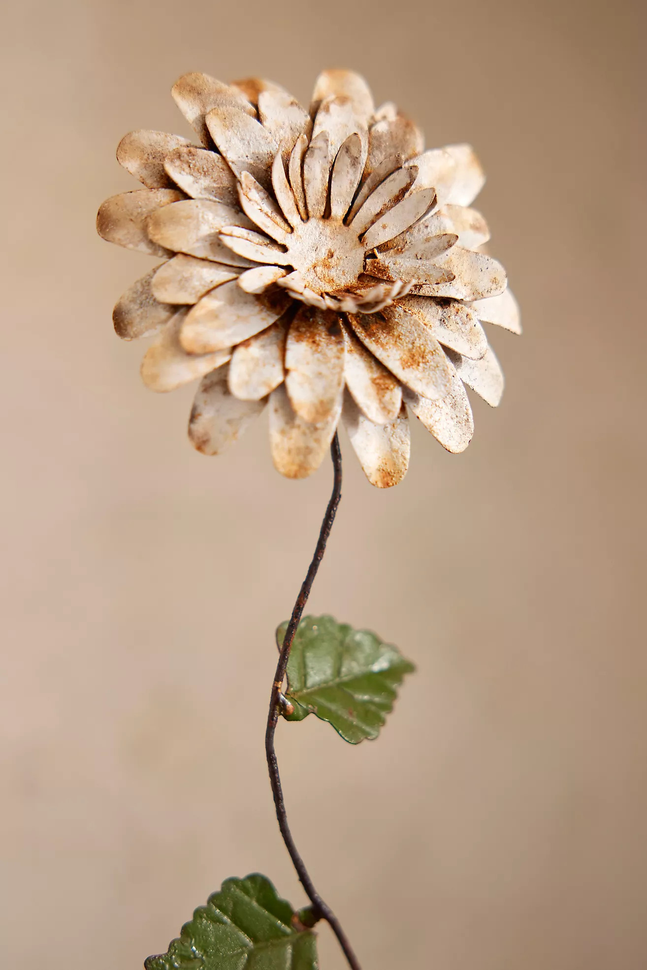 Flower Iron Stake + Stand, Low | Terrain