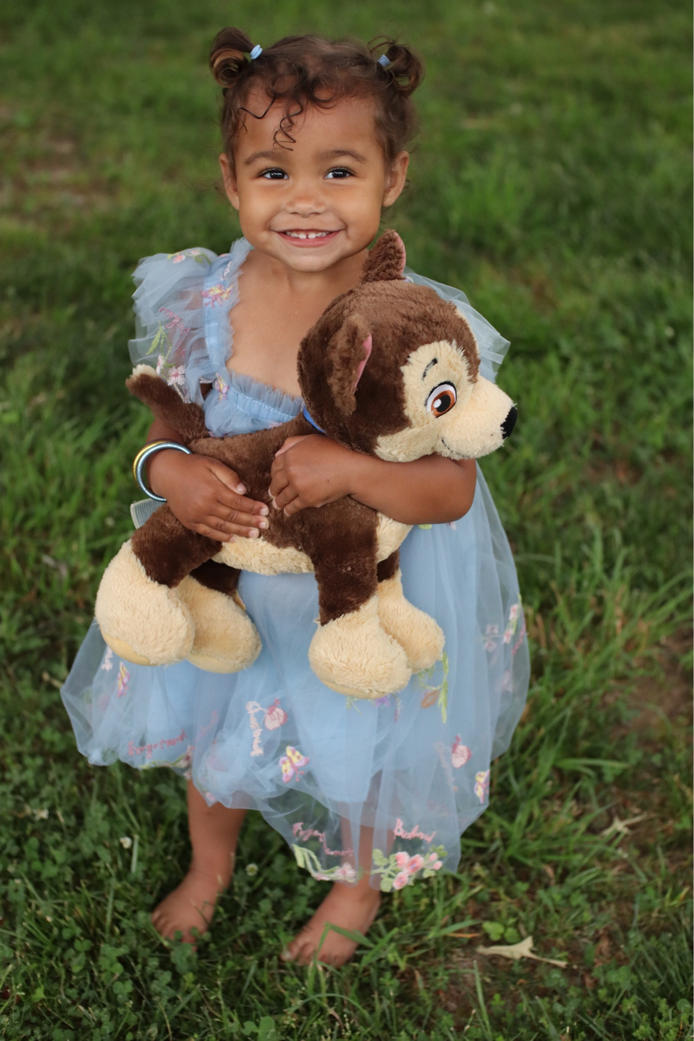 Toddler Birthday Dress / tulle dress / tulle dresses for little girls

#LTKootd #LTKKids #LTKBaby