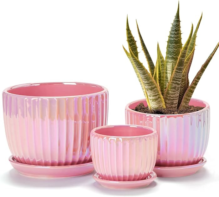 Ton Sin Pink Gold Ceramic Flower Pots, 4"+5"+6" Inch Small Glazed Succulent Planters with Drainag... | Amazon (US)