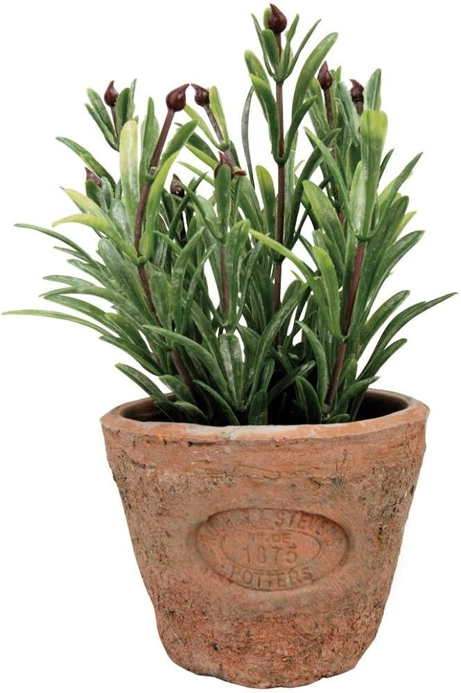 Esschert's Design AH011 Small Artificial Aged Terracotta Pot - Rosemary | Amazon (UK)