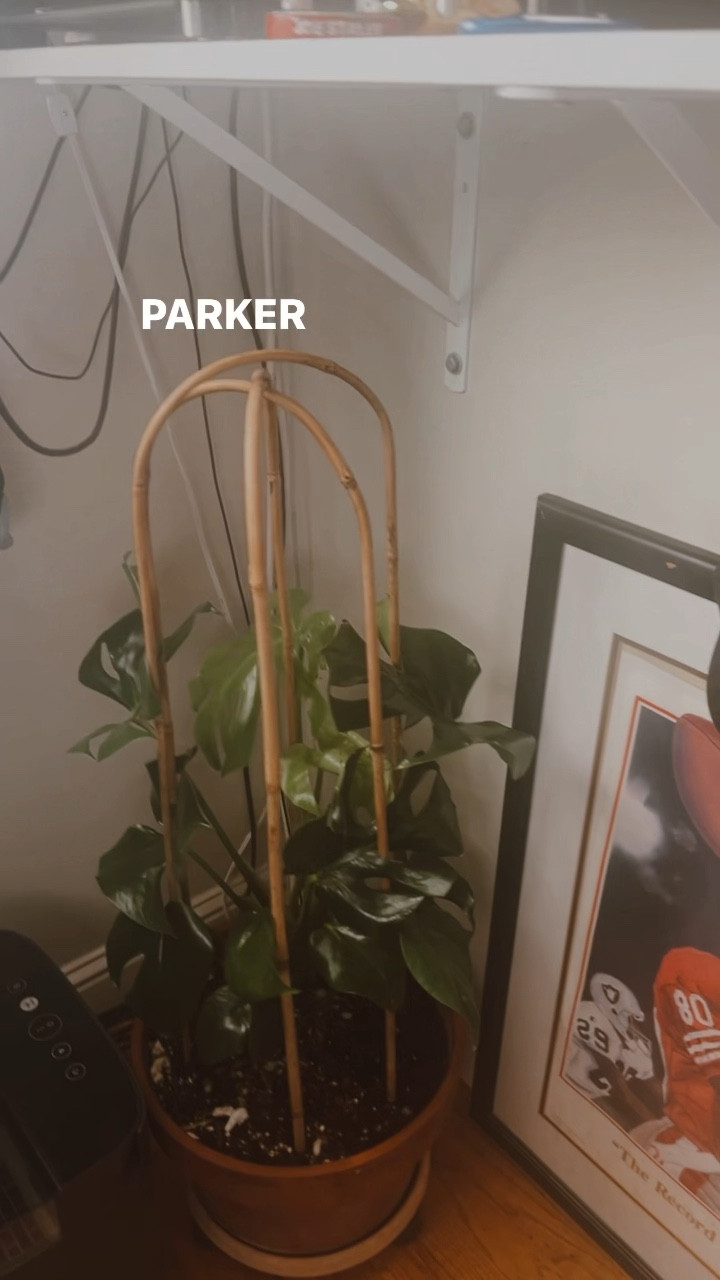 🌱 Healing Through Horticulture: My Journey with Monstera and PTSD 🌿 

#PlantTherapy #MentalHealthJourney #MonsteraMagic #HealingWithPlants #PTSDRecovery #PlantTherapy
#MentalHealthJourney #MonsteraMagic
#HealingWithPlants #PTSDRecovery
#GreenTherapy#GrowthAndHealing
#MindfulGardening #SelfCareWithPlants
#NatureHeals #WellnessGarden
#CopingWithNature #HealingJourney
#PlantParents #CommunitySupport
#YouAreNotAlone #WellnessWarrior
#MentalHealthAwareness
#PostTraumaticGrowth
#ResilienceJourney

#LTKGiftGuide #LTKhome #LTKover40