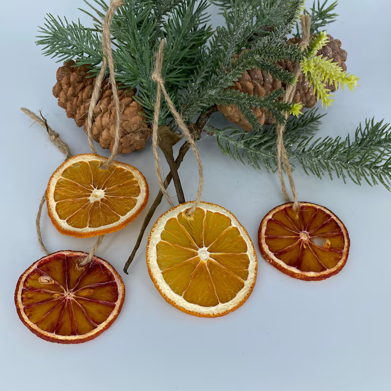 Citrus Ornaments - All Natural Dried Orange Ornaments - Blood Orange Ornaments Nordic Ornaments -... | Etsy (US)