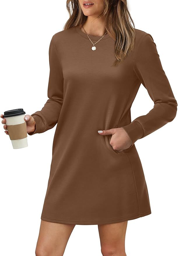 WIHOLL Dresses for Women Long Sleeve Casual Loose Fit Fall Fashion Crewneck Mini Dress with Pocke... | Amazon (US)