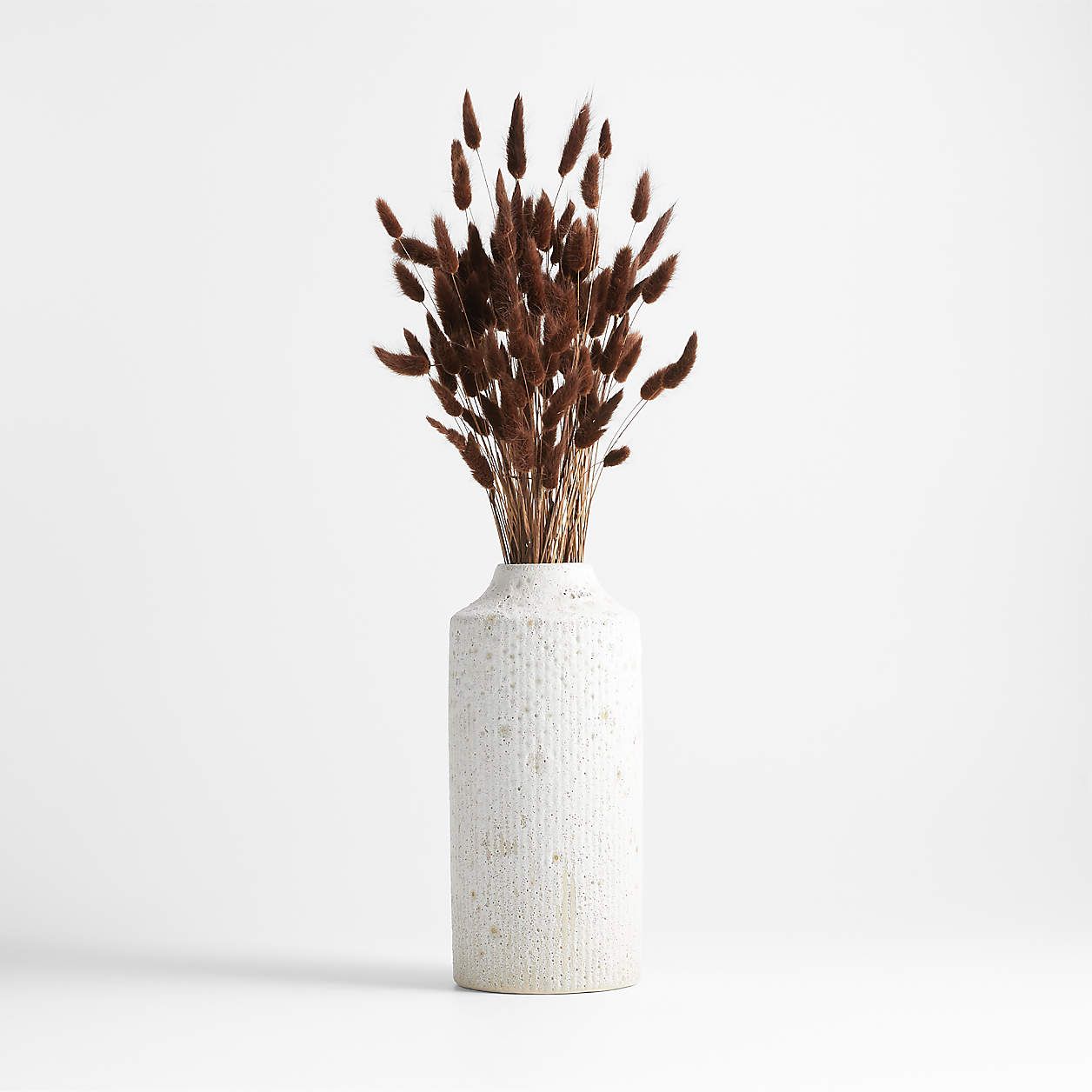 Dried Brown Bunny Tail Bunch + Reviews | Crate & Barrel | Crate & Barrel