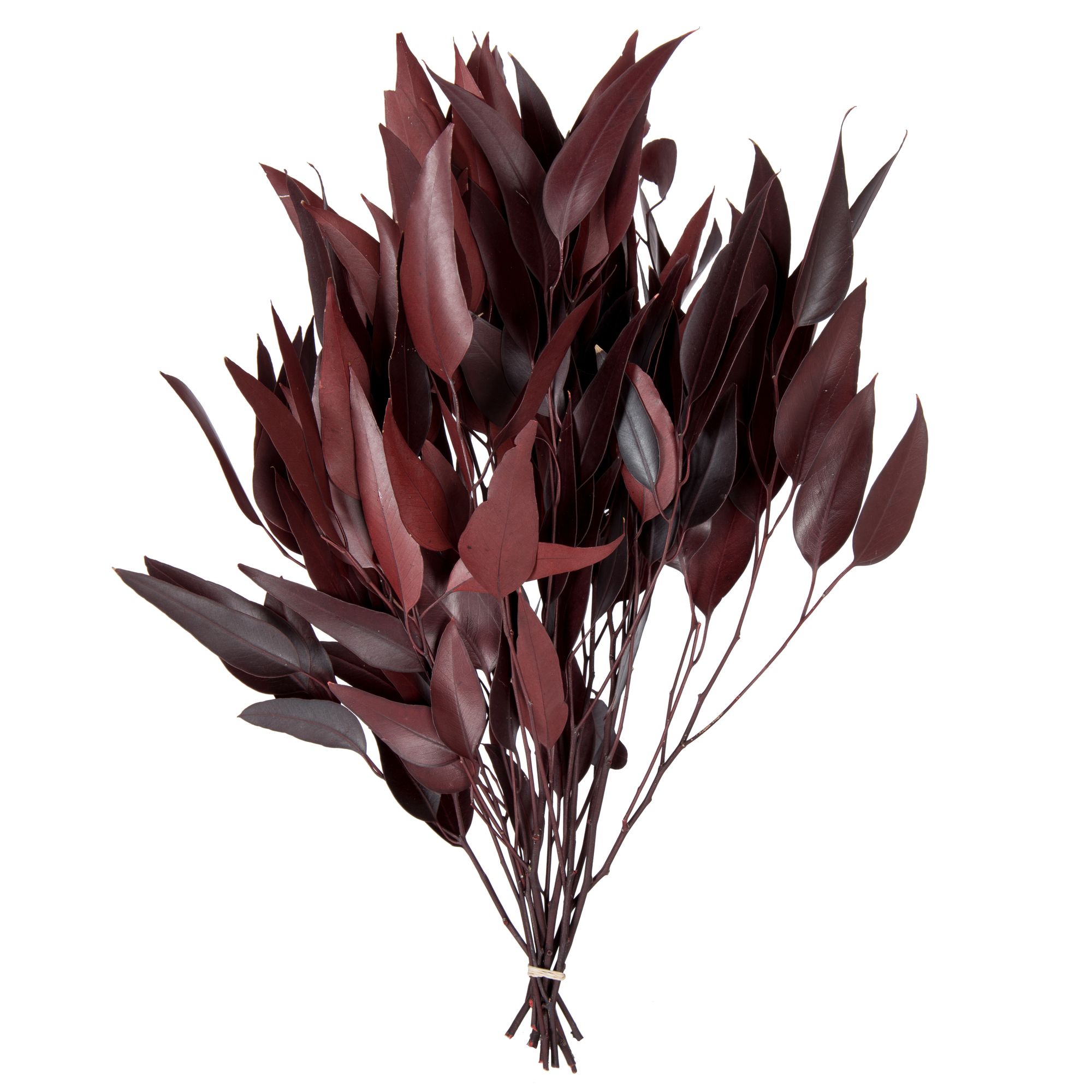 Vickerman Natural Botanicals 18" Eucalyptus Willow, Red Preserved Foliage Dried Floral Decor, 5-6... | Walmart (US)