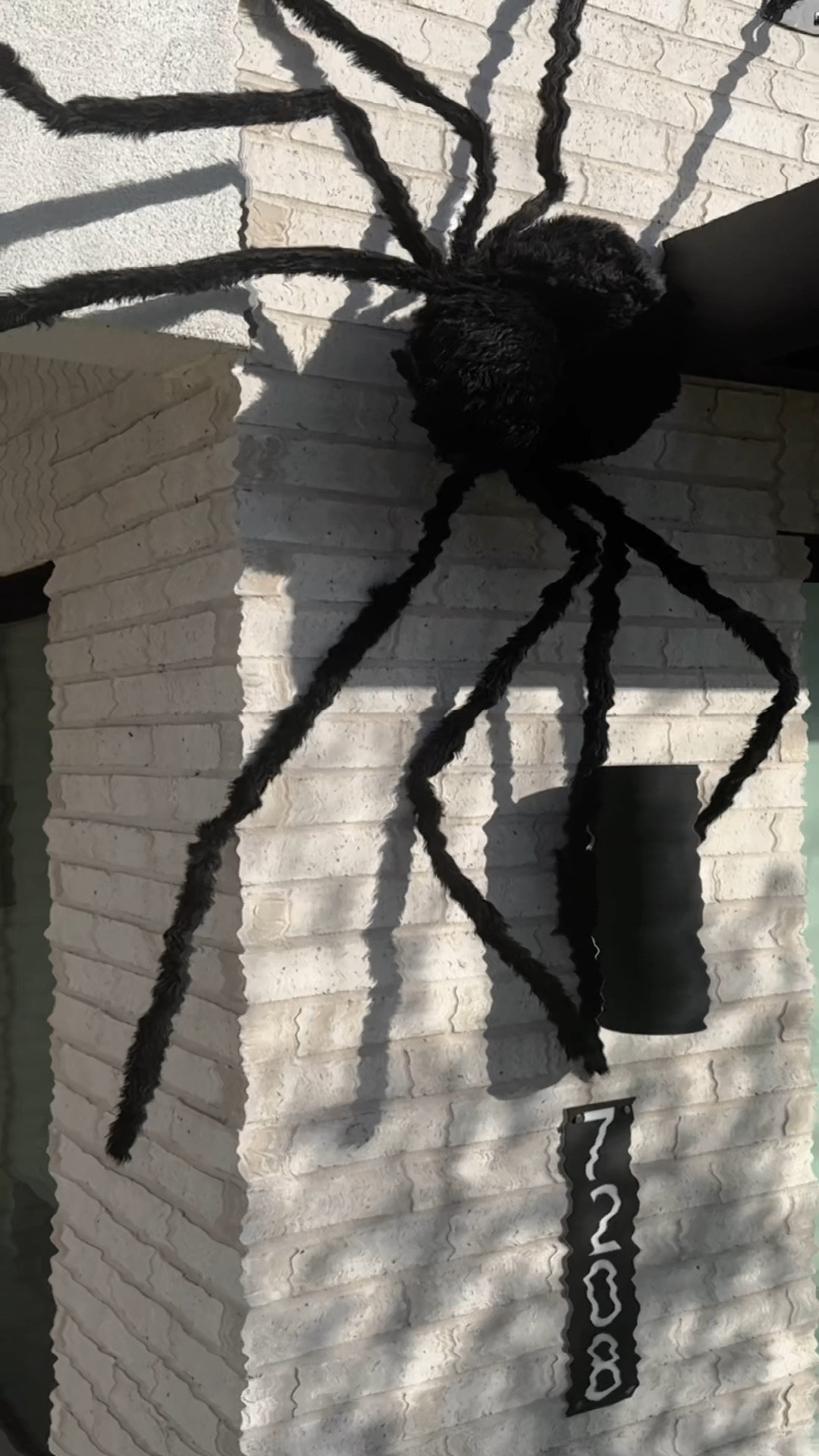 Something spooky is brewing at our household! 

We are the first house on our street that started hanging decorations - this year we are comitted to going BIG. Here’s a sneak peak of our decor so far! 👻💀

#halloween #halloweendecor #halloweenspirit #homedecor #halloweenvibes #ltkseasonal #ltkhome

#LTKHalloween #LTKHome #LTKSeasonal