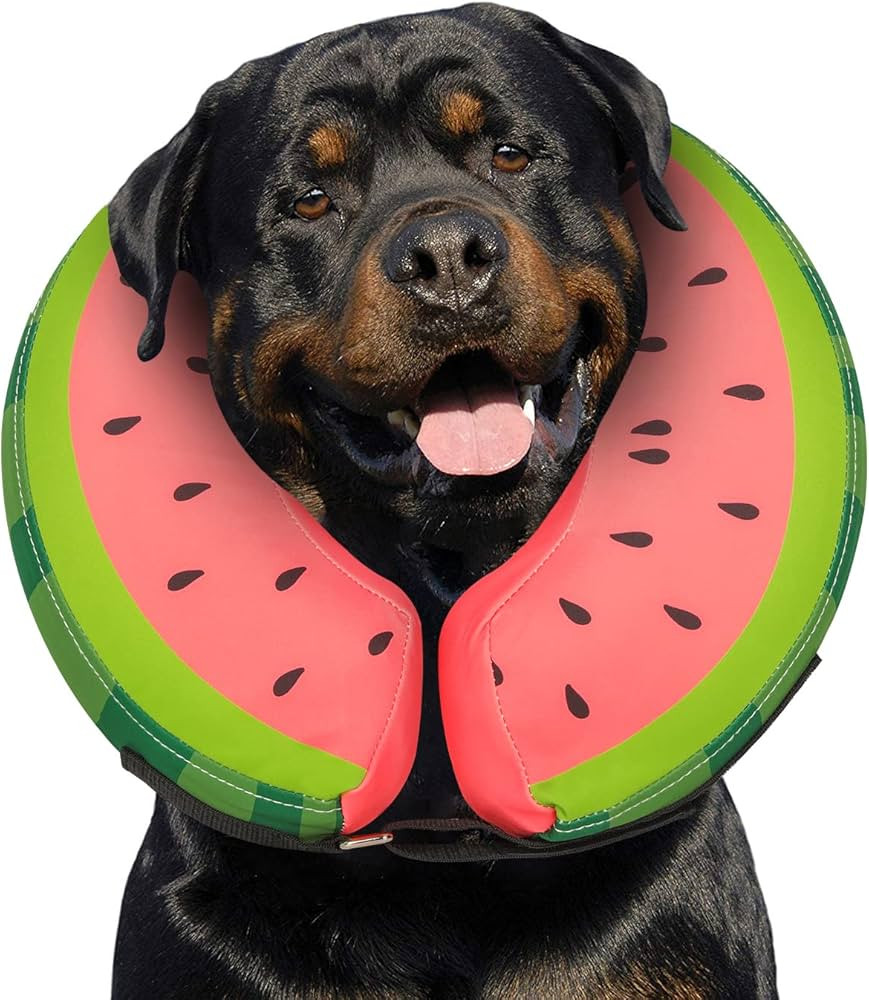 Dog Cone Collar for Small Medium Large Dogs for After Surgery, Pet Inflatable Neck Donut Collar S... | Amazon (US)