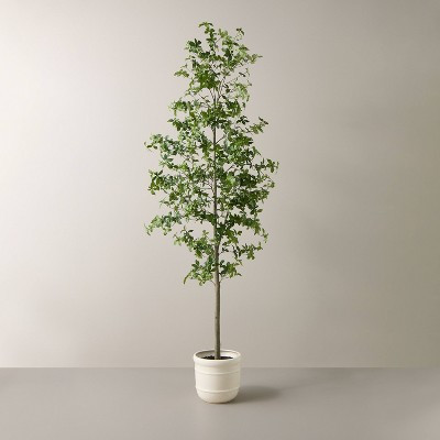 8' Faux Gypsophila Leaf Potted Tree - Hearth & Hand™ with Magnolia | Target