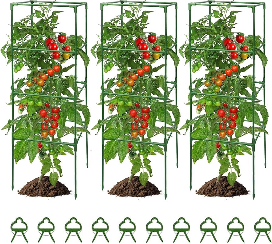 MQUPIN Tomato Cage for Garden 3 Packs Plant Cages Rustproof for Climbing Plants Vegetables Flower... | Amazon (CA)