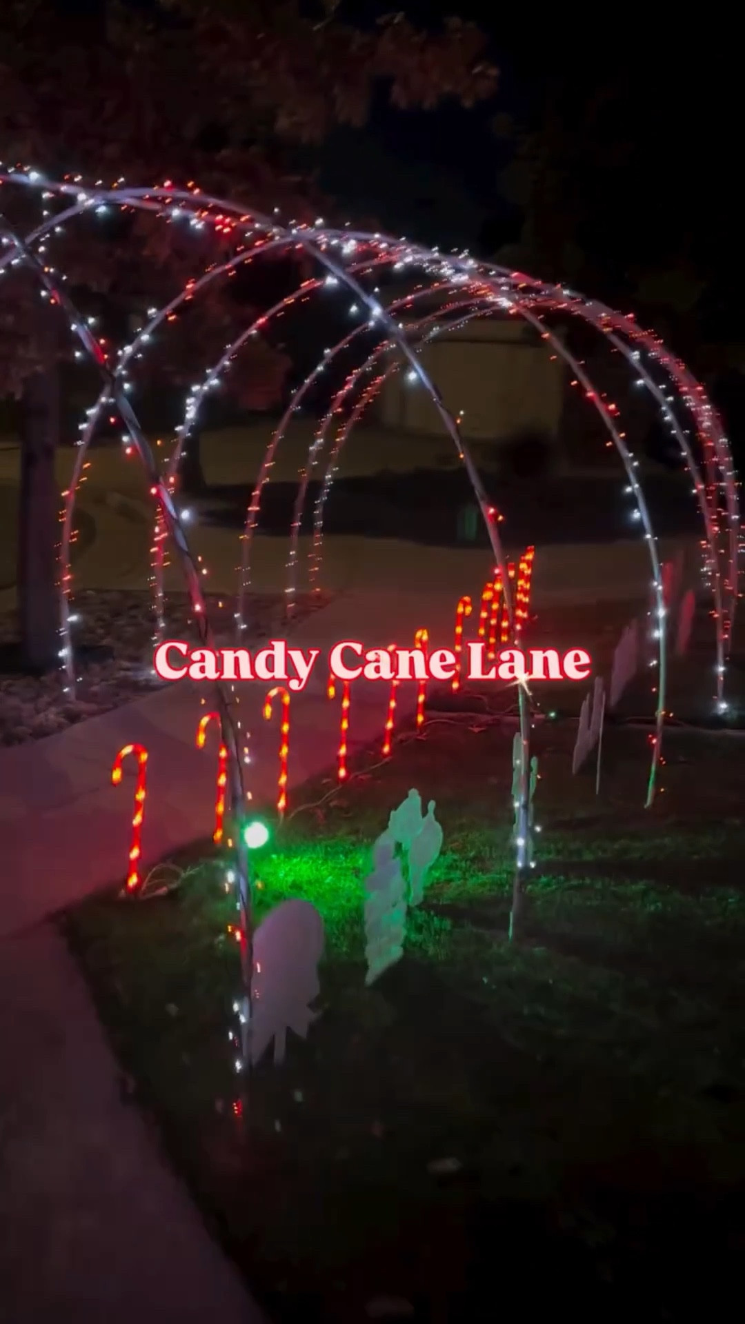 Our arches do double duty all season long! These are the same ones we use for our Halloween tunnel. We just tuck away the spooky decor, add some festive lights, and voilà…instant Candy Cane Lane. 
Full supply list + instructions are linked in my bio. #holidaydecorations #christmasdiy #christmasdiydecor #diy #pvcarches #christmasarches #holidayarches #diyholidaydecor #christmasiscoming