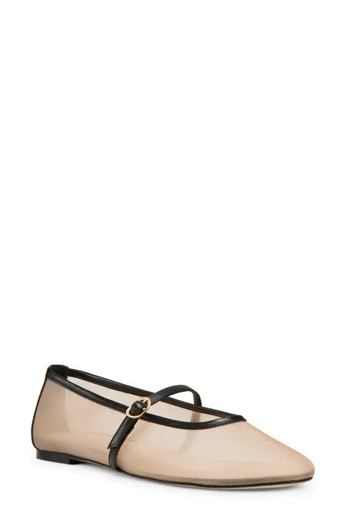 Stuart Weitzman Bareitall Mary Jane Flat in Beige/Black at Nordstrom, Size 9.5 | Nordstrom