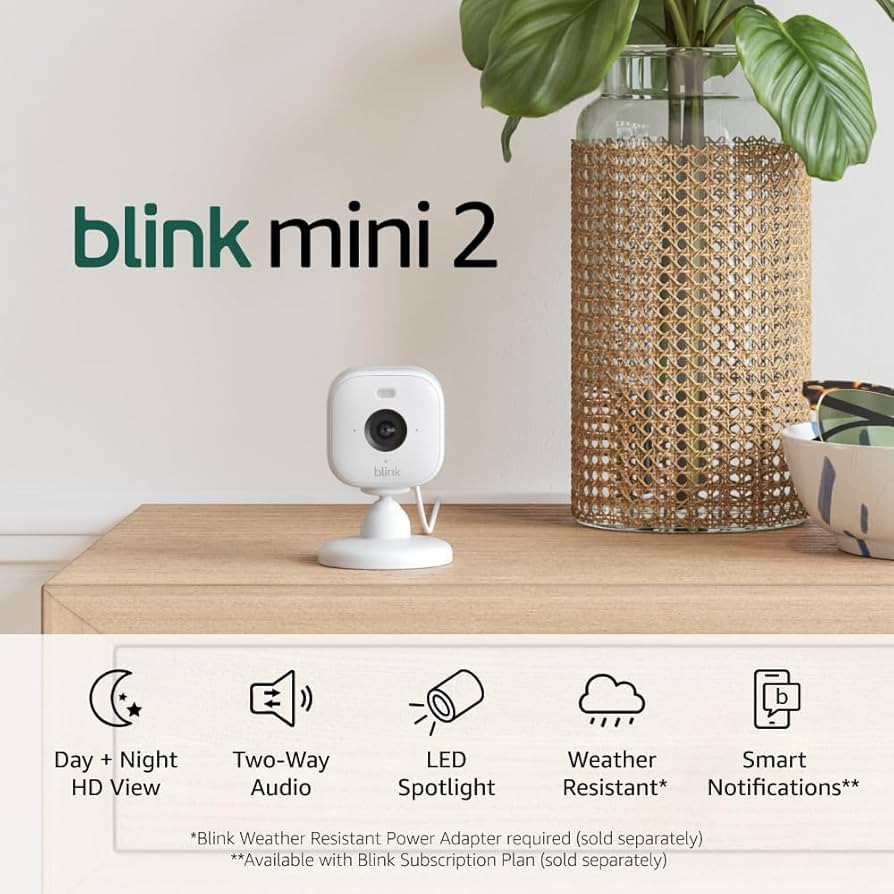 Blink Mini 2 (newest model) — Home Security & Pet Camera with HD video, color night view, motio... | Amazon (US)