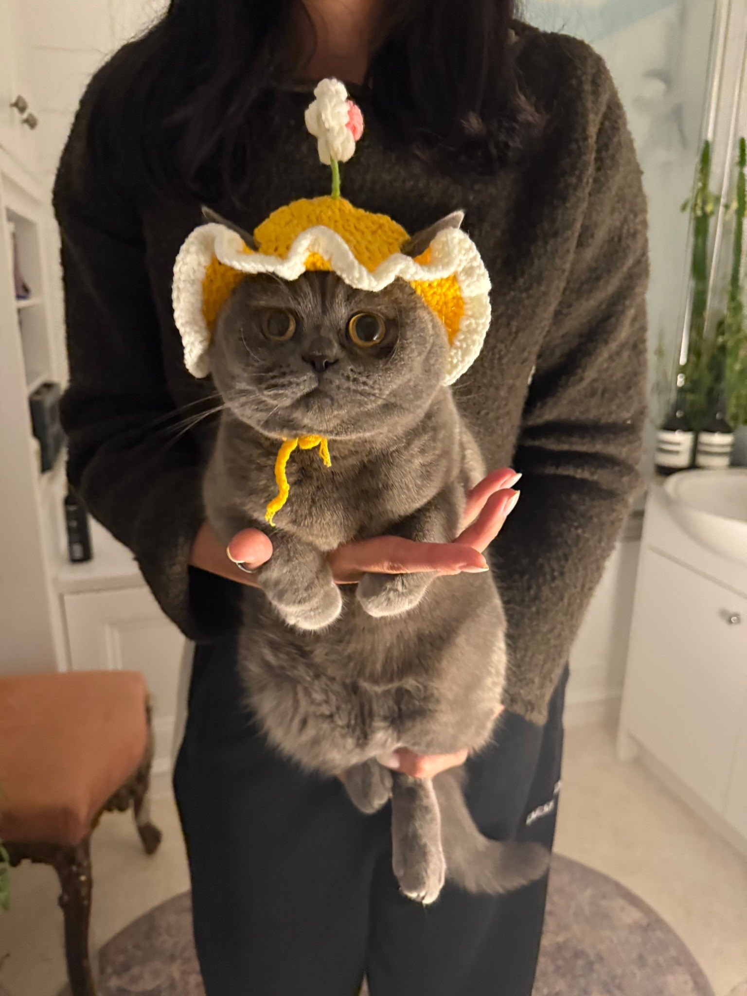 Cat head for my cat lovers , how can u resist such a cute face 

Also comes in pink as a set of two!! 

#LTKpets #LTKsale #LTKstyletip