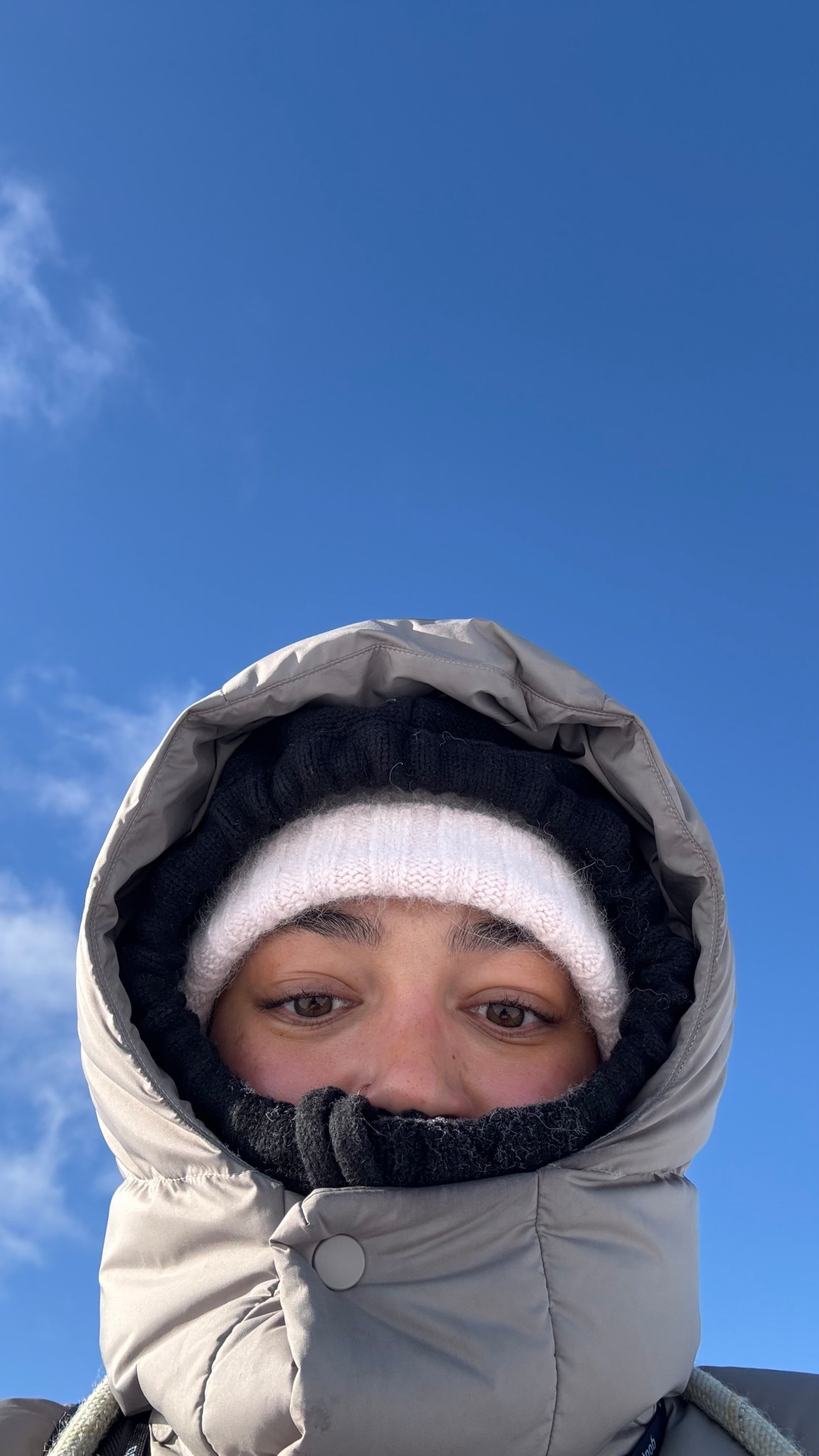winter walk essential!!! My balaclava 😝

winter outfit, winter essential, cold weather essentials, layering outfit, layering pieces 

#LTKU #LTKSeasonal #LTKActive