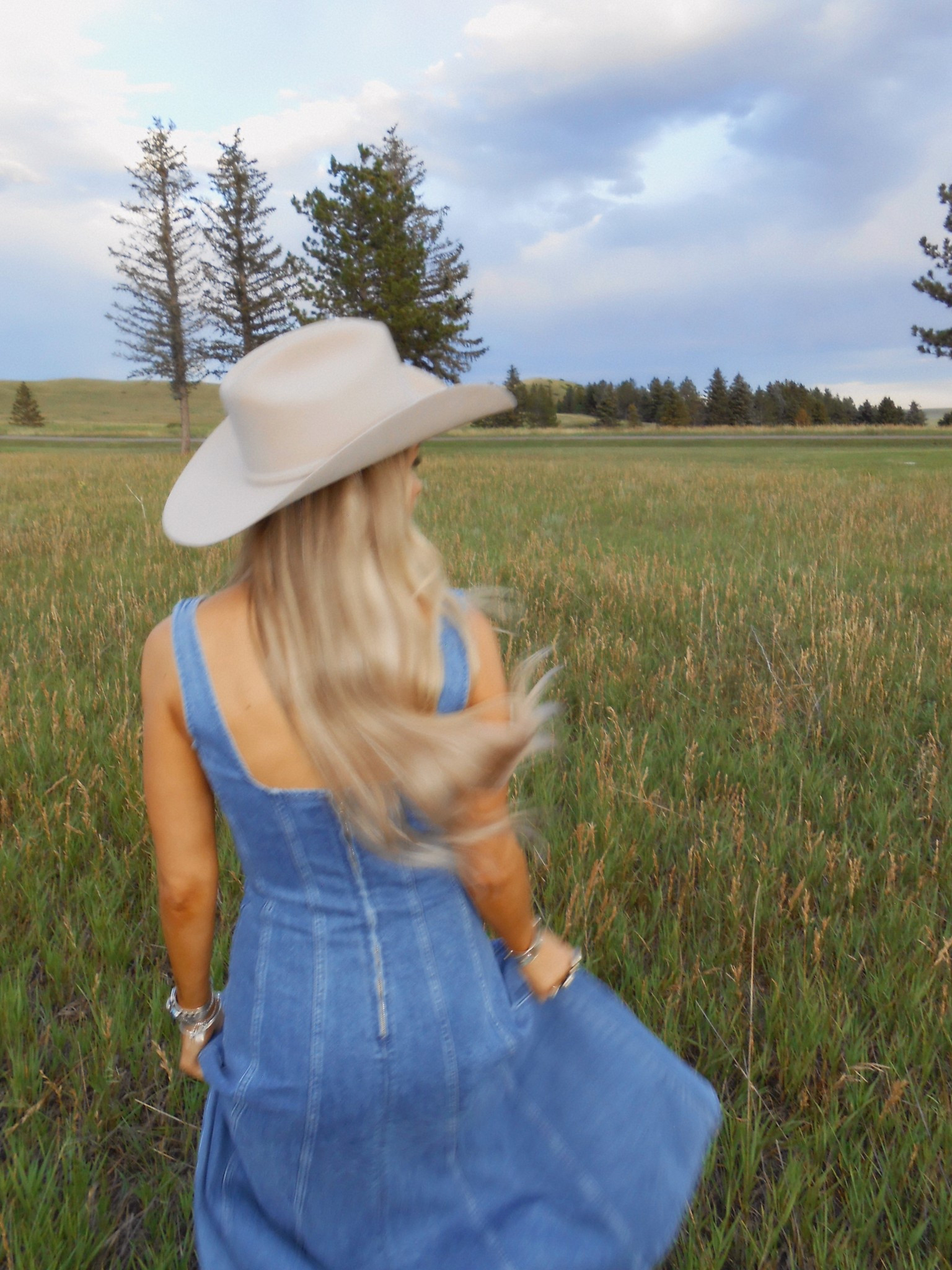 the perfect denim dress 🩵

#LTKSeasonal #LTKStyleTip