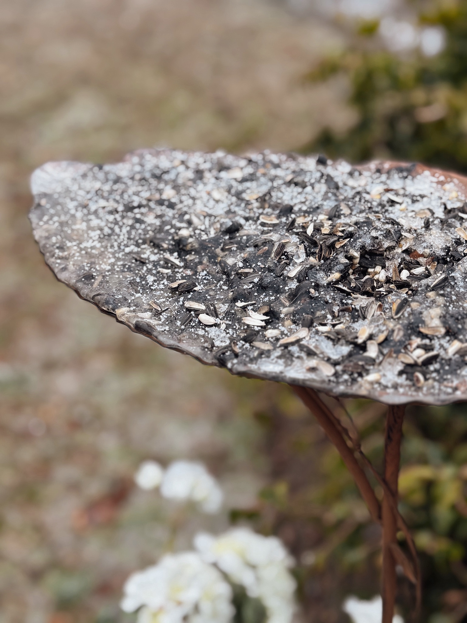 Bird bath or bird feeder? You decide! 🙌🏼

#LTKSeasonal #LTKFindsUnder100 #LTKHome