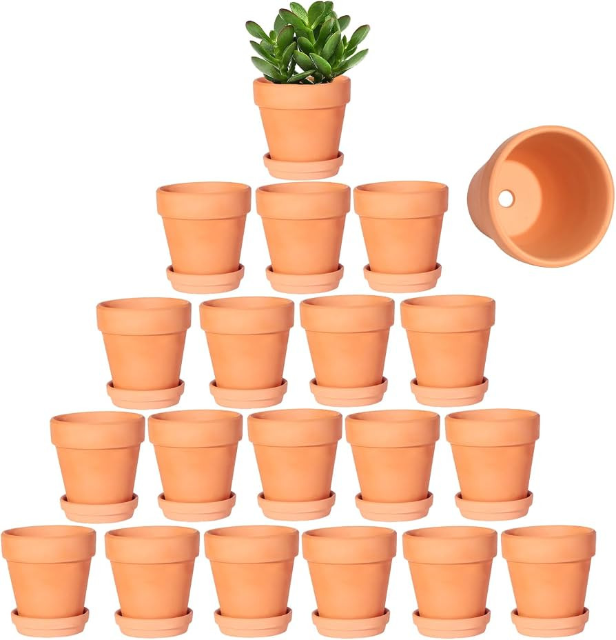 3 Inch Terracotta Pots with Saucer-20 Pack Succulent Cactus Plant Pots with Drainage Hole, Great ... | Amazon (US)
