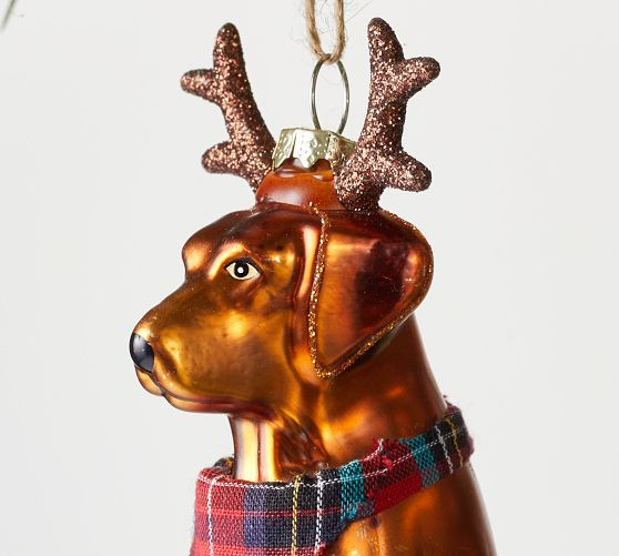 Dog with Antlers and Scarf Ornament | Pottery Barn (US)