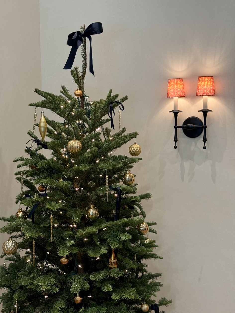 Cutest Tree 🌲🎀🎀 Ornaments, Holiday, Christmas ornaments, Seasonal Finds, Home Goods, Home Decor, Gift Guide, Ribbon & Bows.

#LTKHoliday #LTKfindsunder50 #LTKSeasonal