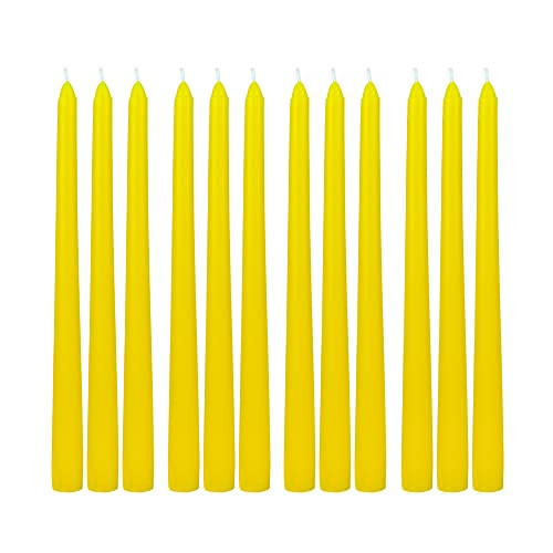 Zest Candle 12-Piece Taper Candles, 10-Inch, Yellow | Amazon (US)