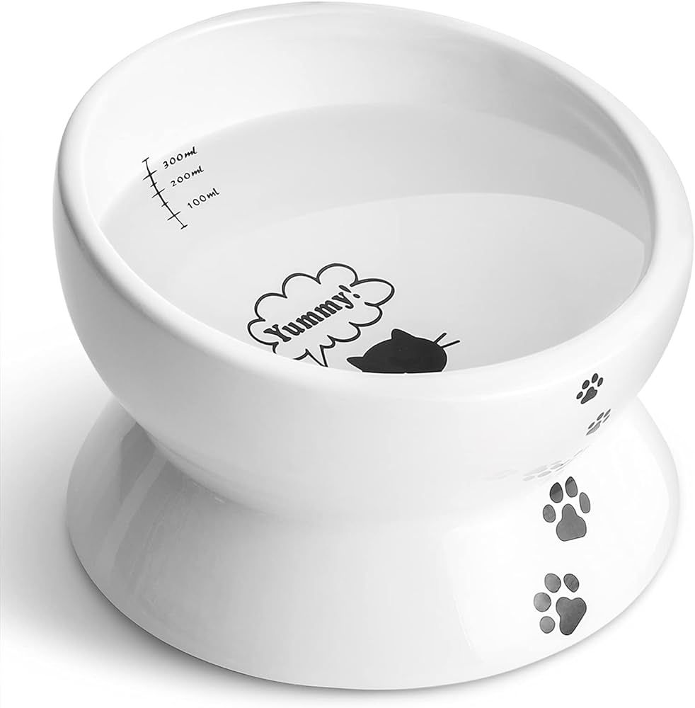 Y YHY Elevated Cat Food Bowl, 15oz Raised Cat Food and Water Bowl Tilted Ceramic Cat Water Bowl W... | Amazon (US)