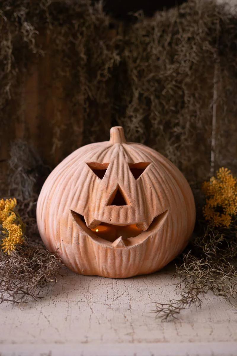 The Holiday Aisle® Terracotta Jack-o-lantern | Wayfair | Wayfair North America