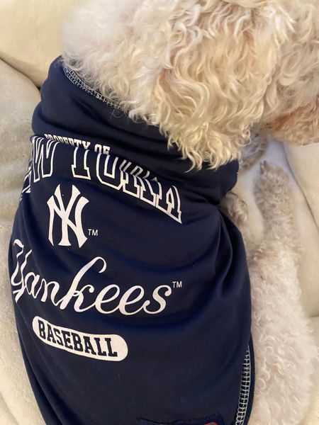 Yankees dog tee - Official MLB 100% polyester T-Shirt with woven trim on neck and sleeves. Back has screen printed logo type, and woven jock tag. Easy fit front panel and bottom band printed MLB team logo.

- Stylish MLB Pet T-Shirt that allows you to show off your team pride and make your dog a part of your favorite team.
- Woven trim on neck and sleeves
- Screen printed logo
- Woven jock tag

.
.
.
.
.
.
.
. .
.
.
.
.
.
.
. .
.
.
.
.
.
.
.
#dogshirt #dogshirts #dogshirtsshirts #dogtshirt #dogtshirts #dogtee #dogdadshirt #dogmomshirt #dogclothing #funnydogshirt #dogclothes #julieannrachelle
#newyorkyankees #newyorkyankeesbaseball #newyorkyankeesfan #nyyankees #yankeesbaseball #yankeesfan #baseball #newyorkmets #newyorkers #worldseries #bronx #mets #newyorkcitylife #julieannrachelle
#petco #petsmart #chewy #adoptnotshop #petcollar #dogharnesses #petadoption #dogbeds #julieannrachelle

#LTKhome #LTKbaby #LTKmens