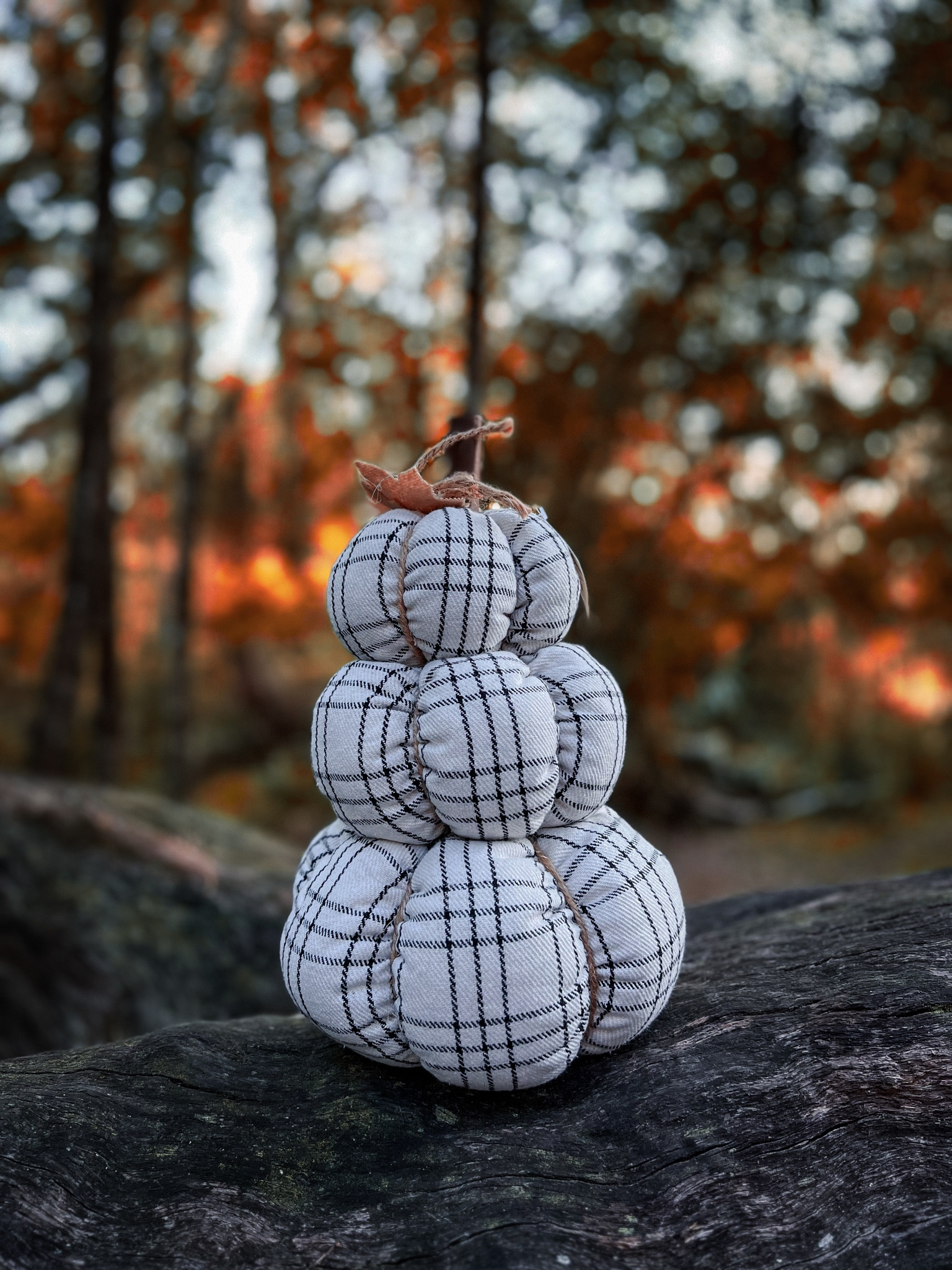 Fall decor from @walmart. Absolutely love this stacked pumpkins. Very affordable and amazing quality. Another addition to our fall decor. Plaid pumpkin. Checkered pumpkins. 

#fall #falldecor #pumpkin #plaid #stackedpumpkin #walmart #check #checkered

#LTKunder50 #LTKhome #LTKSeasonal