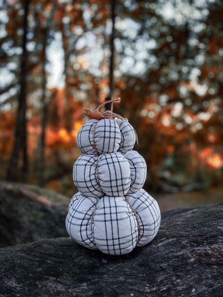 Fall decor from @walmart. Absolutely love this stacked pumpkins. Very affordable and amazing quality. Another addition to our fall decor. Plaid pumpkin. Checkered pumpkins. 

#fall #falldecor #pumpkin #plaid #stackedpumpkin #walmart #check #checkered

#LTKunder50 #LTKhome #LTKSeasonal
