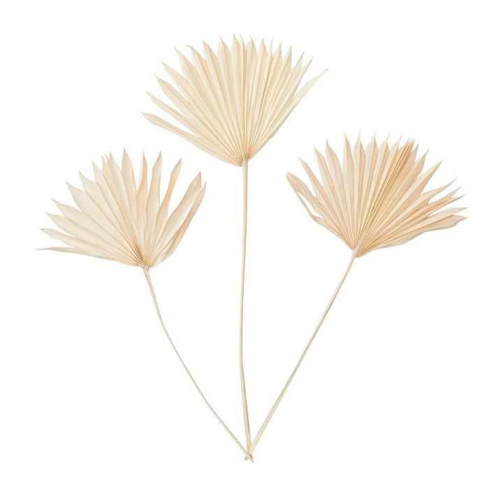 Dried Palm Leaf Bundle, Set of 3, Lavender | Pottery Barn Teen