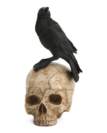 Resin Crow On Skull Decor | TJ Maxx