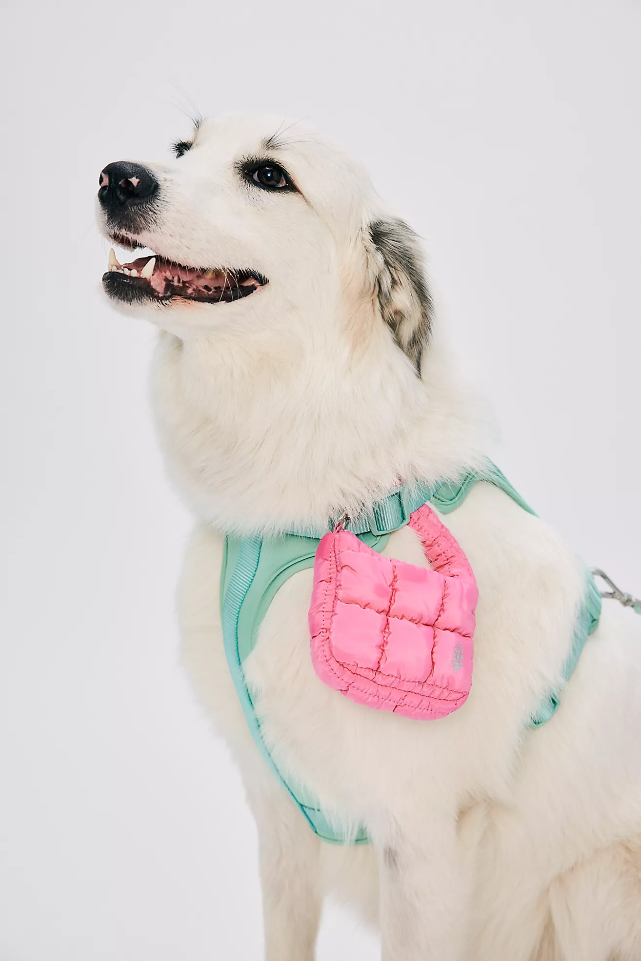 Quilted Micro Pouch | Free People (Global - UK&FR Excluded)