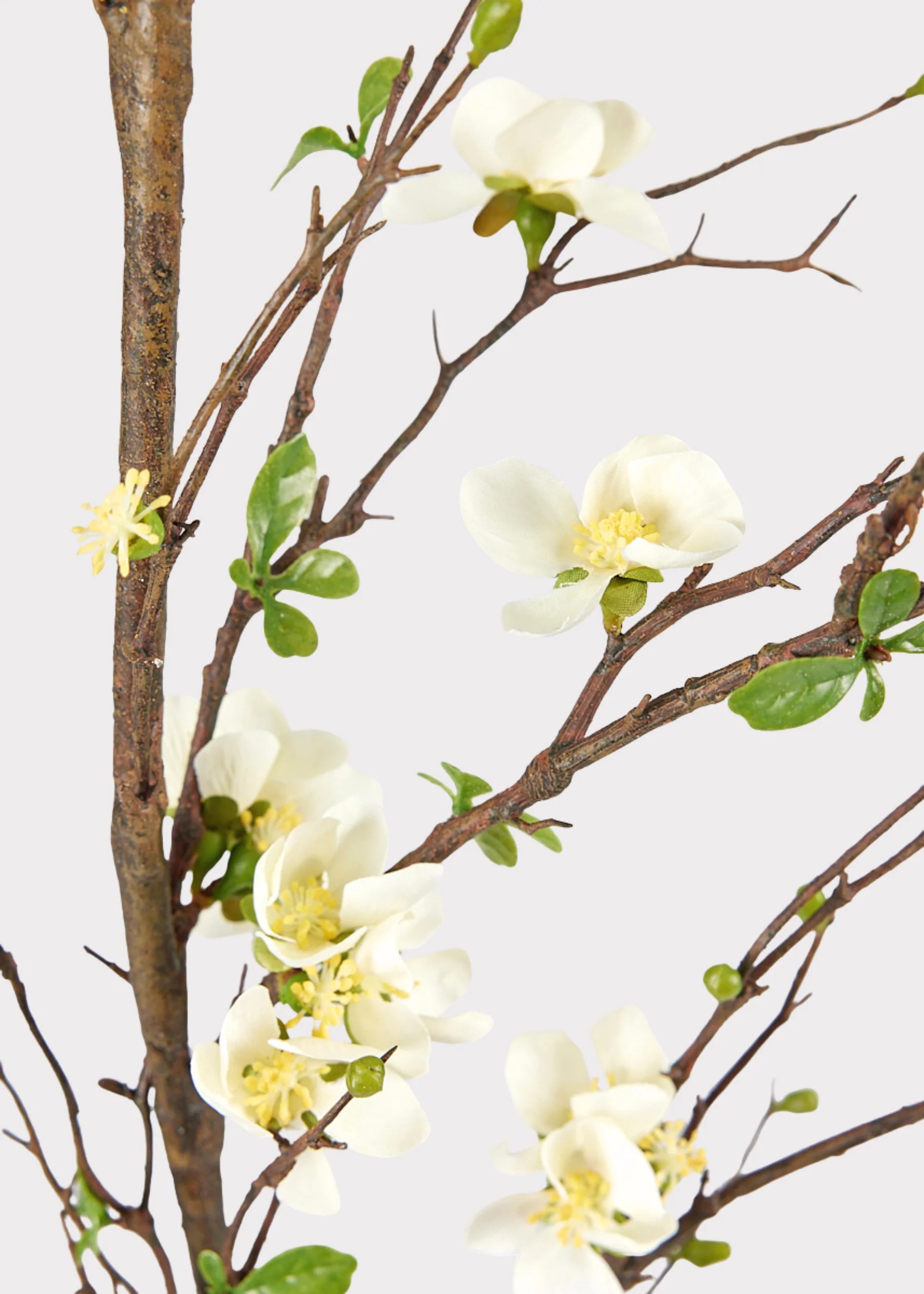 Tall Blossom Branch in Cream | Fake Flower Branches at Afloral.com | Afloral