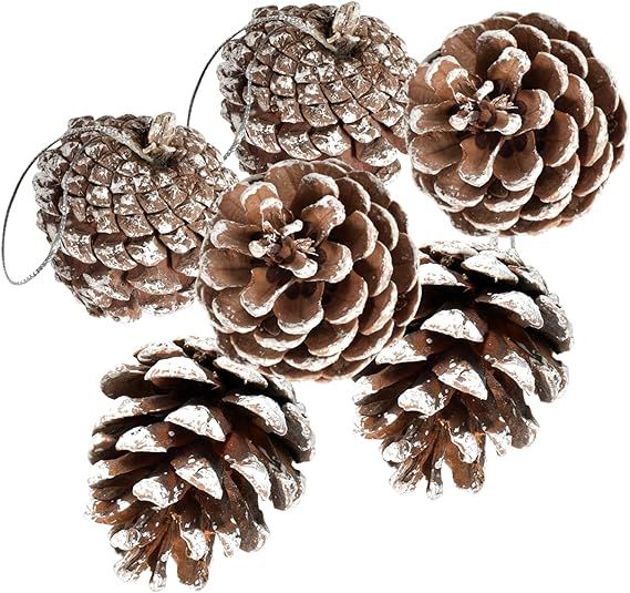 48 PCS Pine Cones for Christmas Tree Snowflake Natural Pinecones Ornament with String Pendant Cra... | Amazon (US)